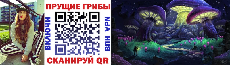 Купить где  Губаха  Псилоцибиновые грибы Magic Shrooms 